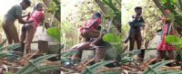 Desi big ass mallu girl fucking in jungle by her lover viral porn xxx